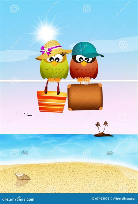 travel site with owl.